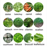 Semoir à légumes de qualité supérieure, directement de l'usine, poussé à la main, pour la plantation agricole de petites graines multifonctionnelles