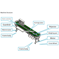 Machine de tri et de pesage de volailles motorisée Annparc en acier inoxydable, haute productivité, 8000 pièces/h, 380V/50HZ, pour ligne d'abattage