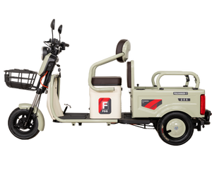 Scooter électrique à trois roues FGQ pliable, à carrosserie ouverte, pour passagers et marchandises, double usage, 60v 800w, transport pour personnes âgées, 30-50 km/h - Product Image 3