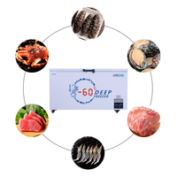 Congélateur horizontal de stockage de thon à ultra basse température CE moins 60 degrés 670L pour le stockage des aliments vente en gros