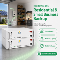 Batterie LiFePO4 CFE 51.2V 100Ah 5kWh pour système de stockage d'énergie résidentiel, 6000 cycles, montage mural, ESS CAN pour l'alimentation domestique