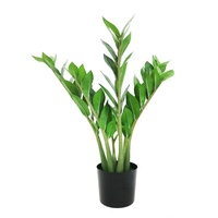 Vente en gros de plantes artificielles Zamiifolia de 53 cm de hauteur, faux bonsaï Zamiifolia
