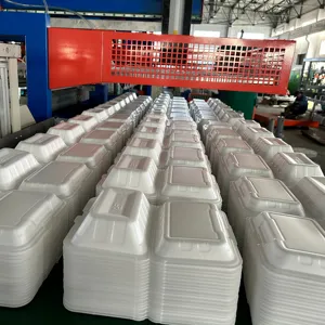 Get Your Food Packaging Business Up and Running with Our Disposable PS Foam Food Container Making Machine!