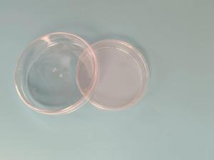 Boîtes de Pétri en plastique jetables de laboratoire 60/70/90 mm, boîte de Pétri en plastique de 90 mm pour culture cellulaire - Product Image 6