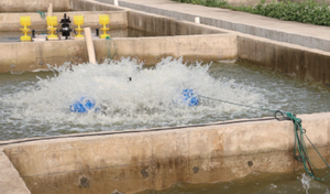 Aireadores <span class=keywords><strong>de</strong></span> máquinas diésel para acuicultura, rueda <span class=keywords><strong>de</strong></span> paleta, aireador <span class=keywords><strong>de</strong></span> estanque <span class=keywords><strong>de</strong></span> camarones, aireador <span class=keywords><strong>de</strong></span> agua - Product Image 3