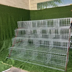 Jaula de pollo de capa galvanizada para aves de corral de nuevo diseño con alta calidad