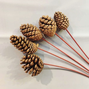 Factory Supple Dried Flower Pine Cone Real Natural Dried <strong>Pinecone</strong> for Christmas Decoration - Product Image 3