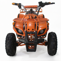 Motor ATV Listrik Mini CE untuk Anak-Anak dengan Motor 36V 500W dan Baterai Asam Timbal 36V 12Ah
