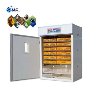 Sale 100 tortoise cheap egg incubator Egg Incubator with low price