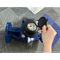 Medidor de Agua Vertical de Gran Capacidad de Hierro Fundido DN200 (Diseño en Seco) Personalizable y Apto para Aplicaciones de Ingeniería