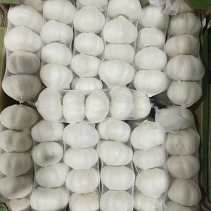 Ajo Fresco de Nueva Temporada 2026, Ajo Blanco Puro de 5.0cm, 5.5cm, 6.0cm, Grado Premium de Exportación, Proveedor Mayorista de Vegetales - Product Image 6