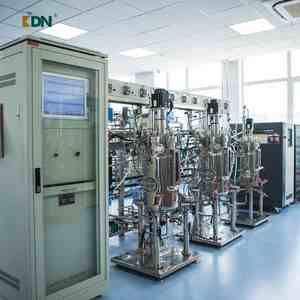 Enzimler proteaz lipaz selülaz deterjanlar için fiyat alkali proteaz enzim - Product Image 3