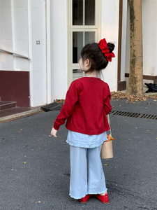 Conjunto de pantalones y Sudadera con capucha de lana informal a la <span class=keywords><strong>moda</strong></span> para niños, novedad de Otoño de 2025, venta al por mayor - Product Image 5