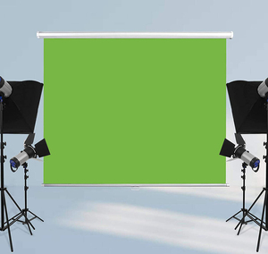 HEYU Schermo Retrattile 2M*3M per Chroma Key Verde, Montabile a Parete, Prodotto Artigianale per Fotografia - Product Image 5