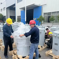 Transformador de Potencia Monofásico Toroidal de 33kV, Marca Yawei D11, 50/60Hz, 100-300kVA, Montaje en Poste, Salida 220V/110V, Estándar IEC60076