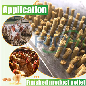 RICHI özelleştirilmiş 1-100 T/H tam otomatik Mash tavuk sığır bileşik karides yüzen balık kanatlı hayvan yem bitki - Product Image 2