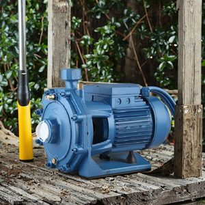 Bomba de agua para riego de jardín WB550 0.75HP 0.55KW TECHNIC POWER, autocebante, eléctrica, de hierro fundido - Product Image 6