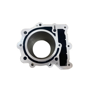 Kit de Cilindro para Motocicleta, Compatible con BMW F650, F650GS, F650CS, Kit de Cilindro con Pistón de 100 mm - Product Image 4