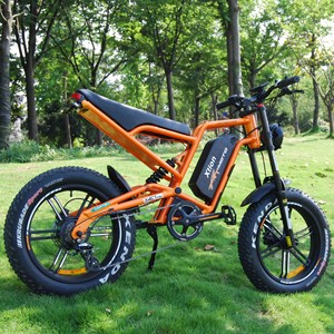 Vélo Électrique Tout-Terrain UE216 à Pneus Larges, 20 Pouces, 7 Vitesses, 750W, avec Batterie au Lithium Amovible 48V – Vélo à Assistance Électrique 500W – Offre Spéciale - Product Image 5