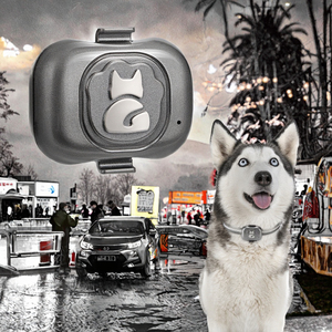 365gps siêu mini <span class=keywords><strong>GPS</strong></span> Tracker <span class=keywords><strong>chip</strong></span> G16 Pet Finder định vị IP67 chống mất theo dõi thời gian thực theo dõi Android/IOS App mèo kim loại - Product Image 3