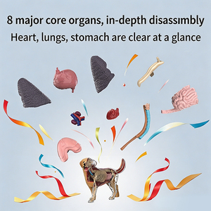 Kit Scientifique Interactif TENGXIN STEM, Modèle Anatomique d'Animaux 3D, Certifié EN71, Cadeau d'Anniversaire DIY pour Enfants, <span class=keywords><strong>Science</strong></span> et Ingénierie - Product Image 6