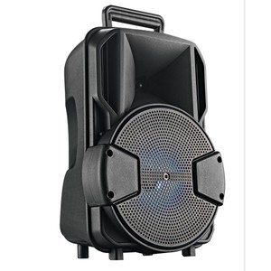 Altavoz Amplificador de Karaoke Portátil Recargable con Subwoofer 3D de 8 Pulgadas, Precio de Fábrica Más Bajo - Product Image 4