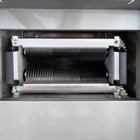 MQR-3 Nouvelle Machine à Trancher la Viande Fraîche Automatique Commerciale à Trois Options d'Épaisseur 220V en Acier Inoxydable avec Lame Amovible Haute Performance