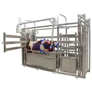 Pregnancy checks hoof trimming cattle crush very convenient use crushing machine frame