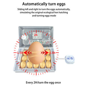 Completamente automatico a energia solare 15 uova di gallina incubatrice con pulcini piccoli scatole da cova incubatrice solare - Product Image 5