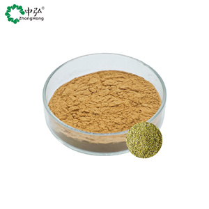 Thé Yerba Mate Premium avec extrait de Yerba Mate en <span class=keywords><strong>poudre</strong></span> de haute qualité 10:1, riche en antioxydants, idéal pour la consommation quotidienne - Product Image 2