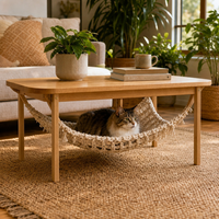 Table basse rectangulaire moderne, table centrale en bois de style mid-century, finition premium, écologique, légère, meubles de salon