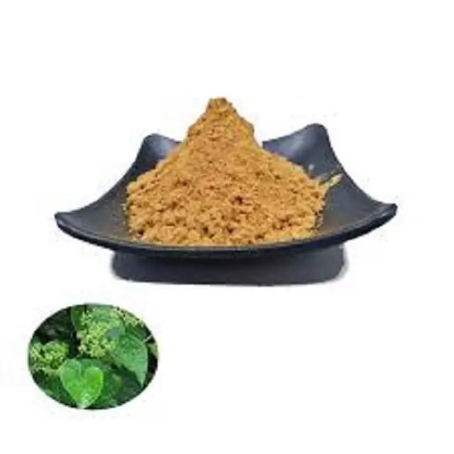 Cissus OEM Cissus Quadrangularis Extract Capsules 50:1 Cissus