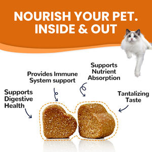 Großhandel Custom Natural Supplement Dog Treats Snacks Probiotische Soft Chews für Pet Gut Health High-Protein Organic - Product Image 6