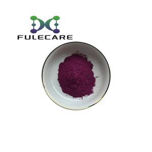 100% Organic Natural Strawberry <strong>Extract</strong> Powder - Product Image 1