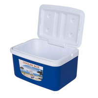 Ensemble de 5 glacières isothermes 45L pour aliments et boissons, camping, pique-nique, voiture, maison, voyage et extérieur