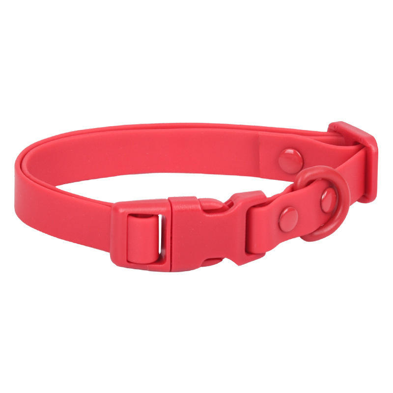 Insert buckle style big red collar