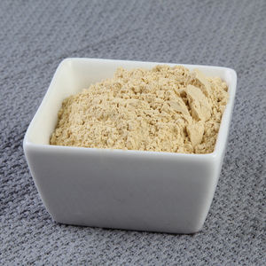 Halal Certified 100% Pure Alho Em Pó Vegetais Secos de Alta Qualidade para Alimentos e Churrasco Bom Sabor A Granel Ingredientes - Product Image 6