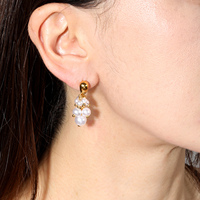 Anting-anting Grosir Stainless Steel untuk Wanita, Koleksi Anting Tusuk dan Anting Gantung dengan Zirkonia Kubik, Mutiara, Salib, Bunga, dan Cangkang