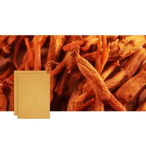 2024 patch de ginseng rouge soulager la douleur patch de ginseng coréen patch de ginseng