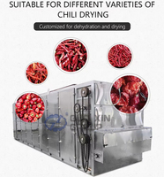 Automatische voedseldroger, chilidroger, groente- en zwarte peperdroogmachine, continue droogmachine