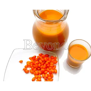 Complete Sea-buckthorn Processing Line Sea-buckthorn Processing Machine