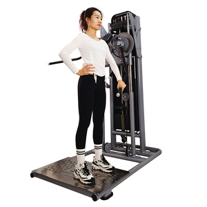Máquina de Gimnasio Comercial de Alta Calidad, Estándar, Duradera, de Doble Brazo - Product Image 5