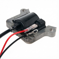 Zündspule für 40-5 44-5F 1E40F-5 1E44F-5 2-Takt-Motor Passend für CG430 CG520 43CC 49CC 52CC Trimmer-Ersatzteile