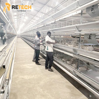 Système d'Élevage en Batterie Automatique de Type H pour 40 000 Volailles, Équipement Avicole pour Poules Pondeuses avec Cages d'Alimentation