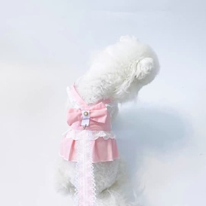 Arnés para Perros Beautiful Pets, Vestido de Encaje Rosa, Ropa Ajustable para Mascotas Pequeñas, para Razas Pequeñas - Product Image 1