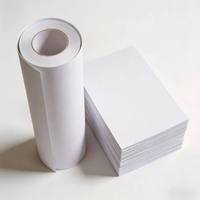 Carton ivoire / C1s Fbb / Carton pour boîtes pliantes / Carton duplex avec dos blanc