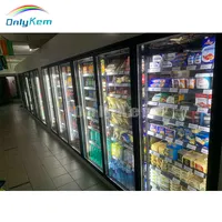 Il dispositivo di raffreddamento dell'esposizione del supermercato cammina nel congelatore/cella frigorifera con la porta di vetro