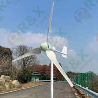 Éolienne à axe horizontal R&X RX-1000M 1 kW pour toiture, système solaire pour usage domestique, sortie 48 V, certifiée CE ROHS