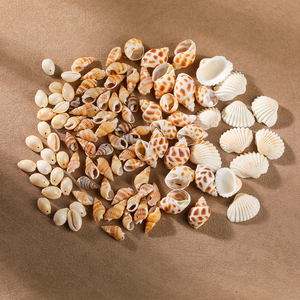 JD GEMS Wholesale High Quality Natural Shell Jewelry <strong>Accessories</strong> for DIY Fashion Necklace and Bracelets Jewelry - Product Image 2