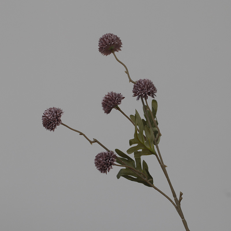 Autumn purple